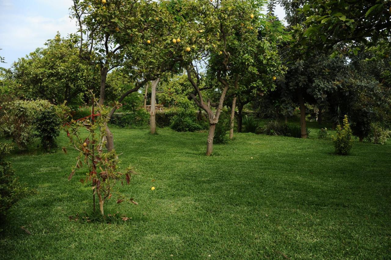 Tenuta Santa Tecla Acireale Luaran gambar